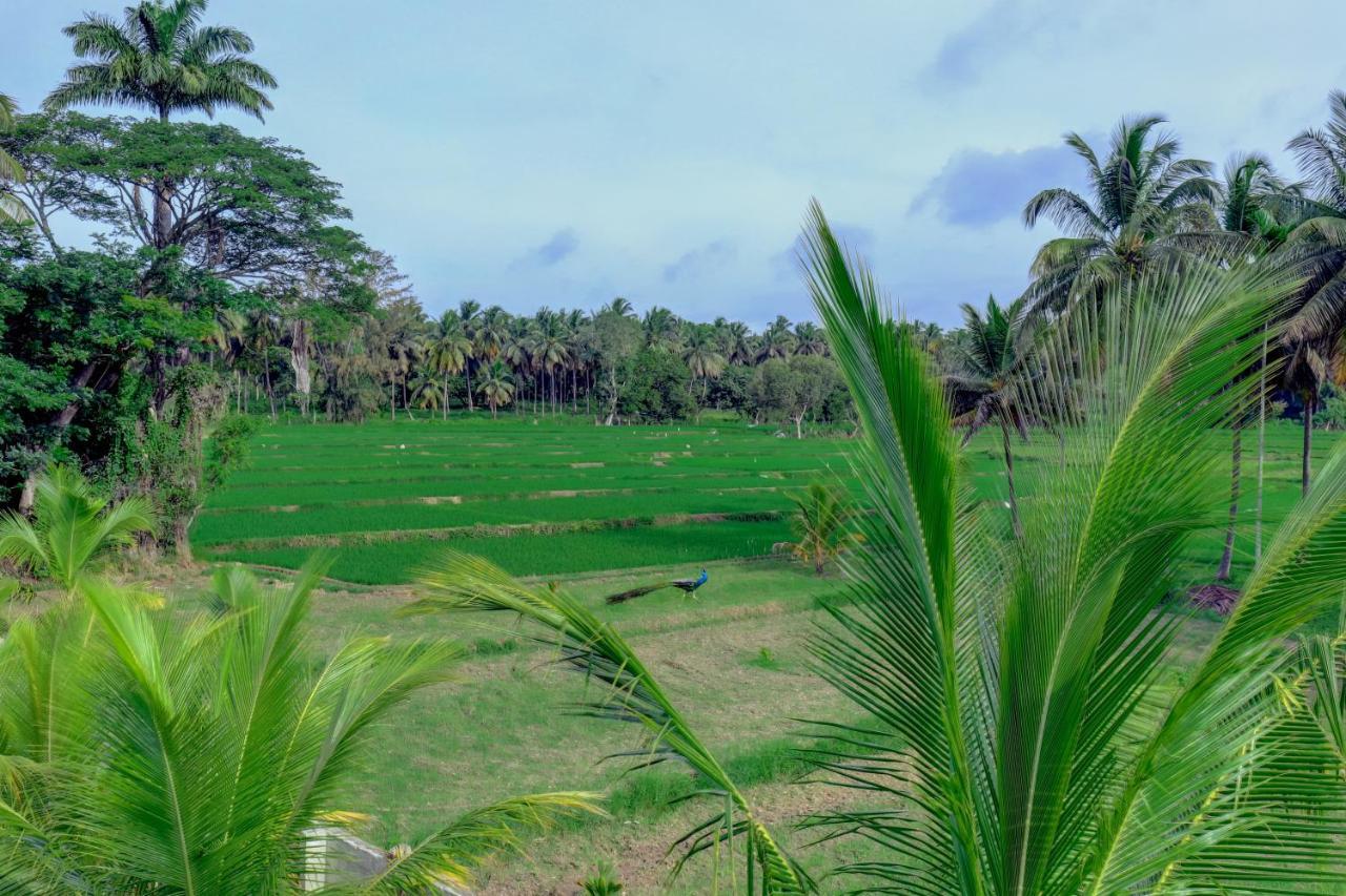 Brindavan Garden Resort & Spa Krishnarajasagara Exteriör bild